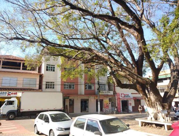 Despedida de uma das árvores do conjunto paisagístico da Praça Guarurama