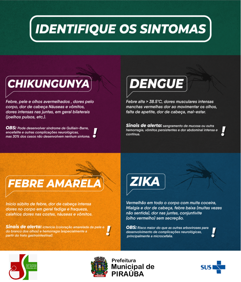 Infografico-Identifique-os-sintomas-01-816x1024.png