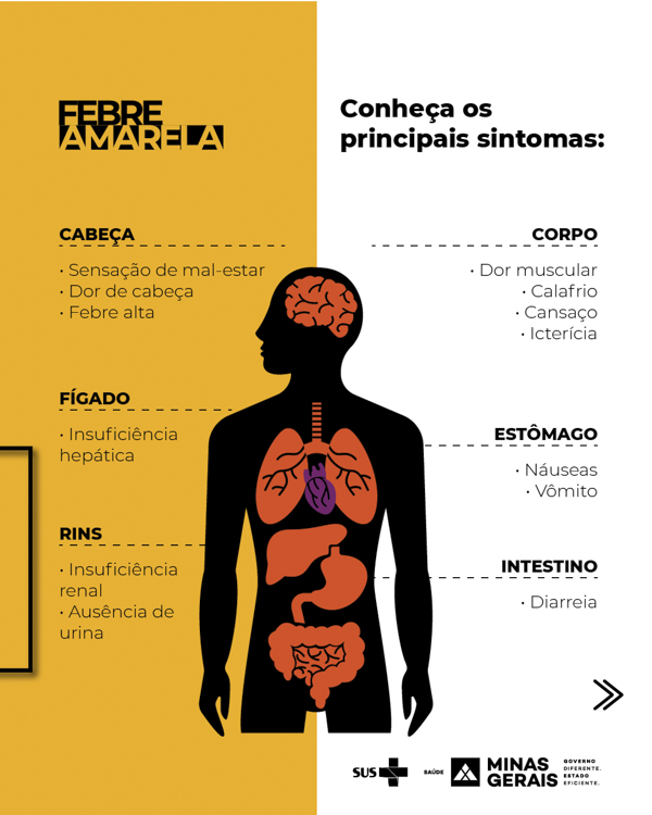 febre amarela_peça6.jpg