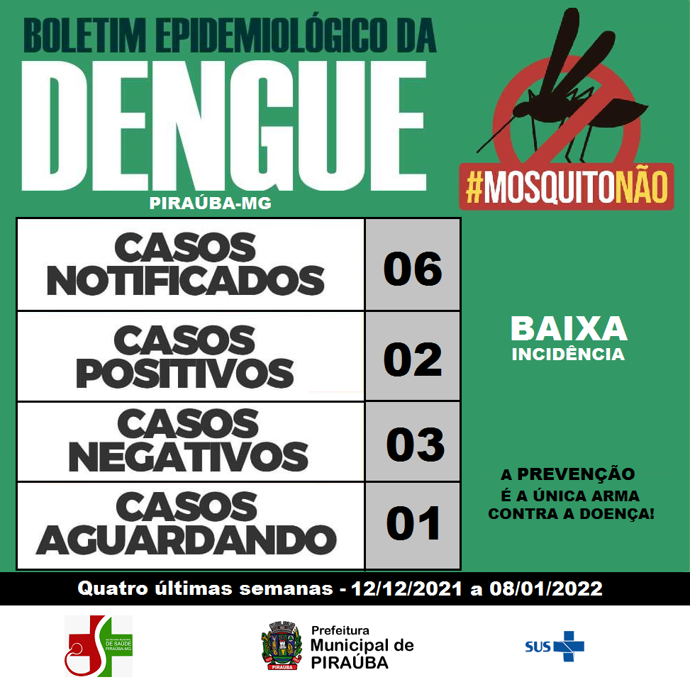 Boletim Epidemiológico da Dengue em Piraúba 12/01/2022