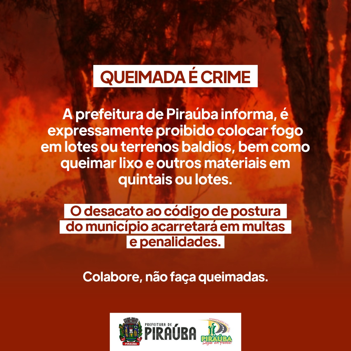 QUEIMADA É CRIME 