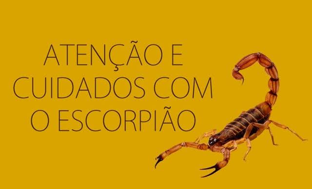 CUIDADOS CONTRA ESCORPIÕES 