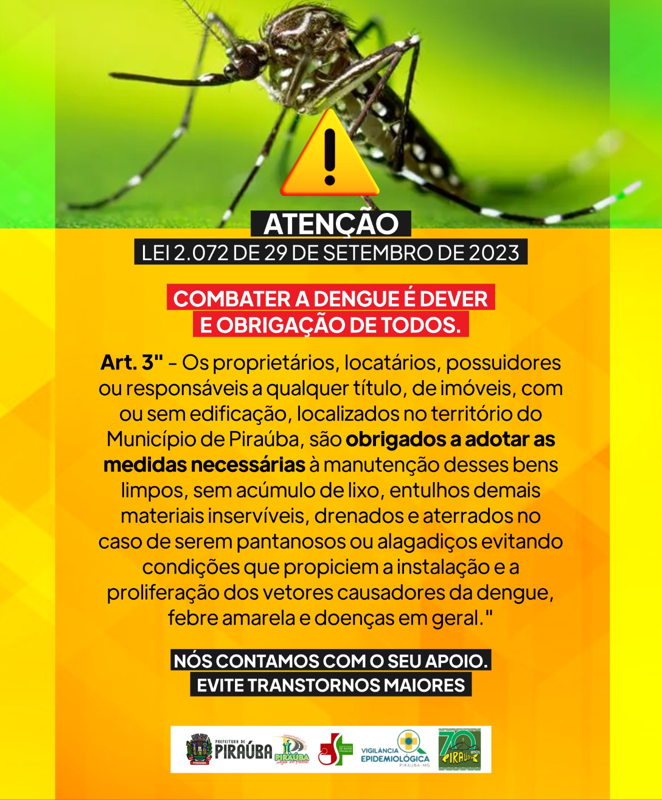 JUNTOS CONTRA A DENGUE 